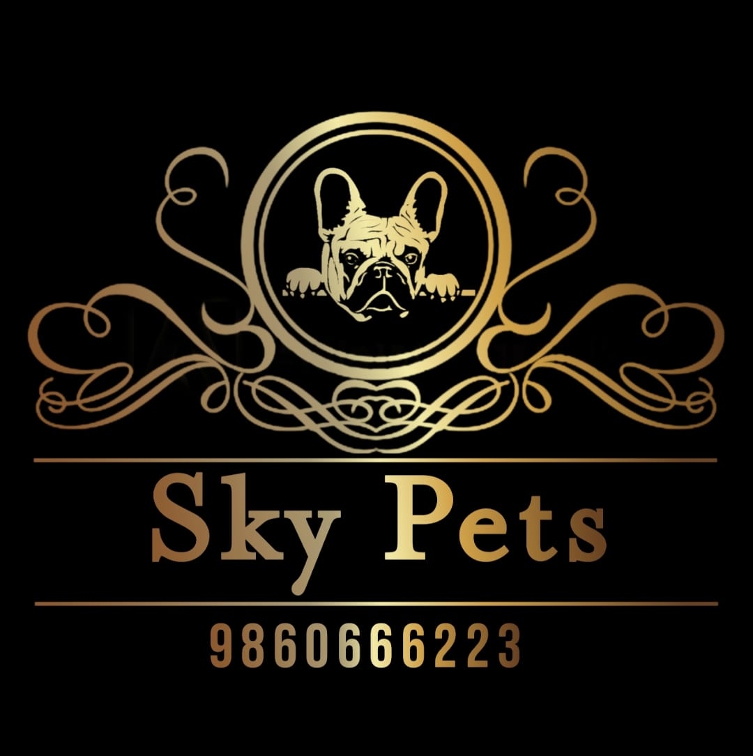 SKY KENNEL PUNE